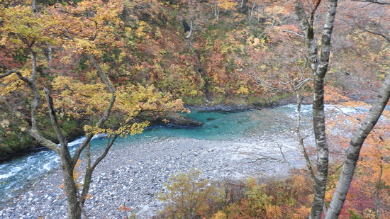DSCN4461
