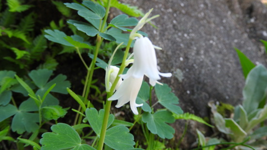 DSCN2754