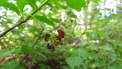 DSCN9171