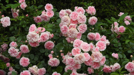 DSCN0075