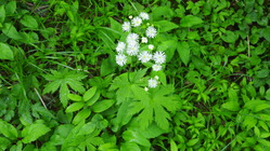 DSCN9095