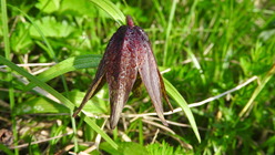 DSCN8957
