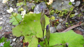 DSCN1494