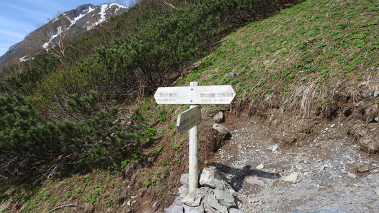 DSCN4965