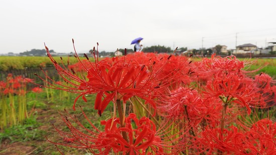 DSCN0795