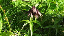 DSCN8962