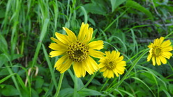 DSCN8920