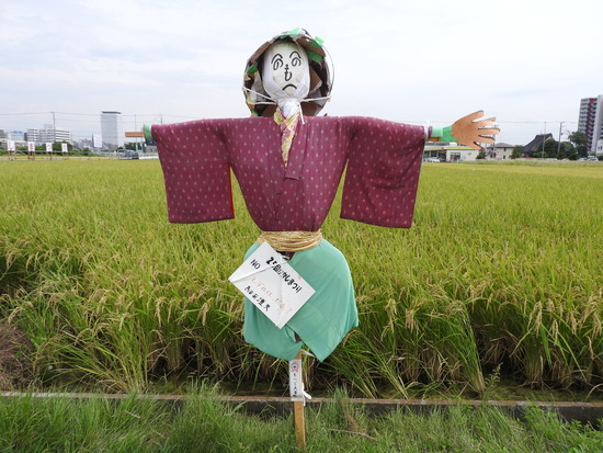 DSCN1110