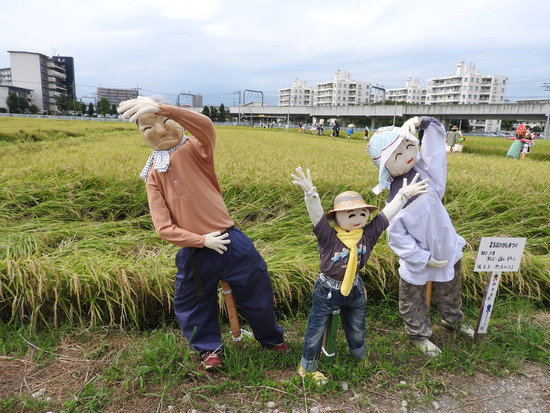 DSCN1116