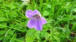 DSCN9043