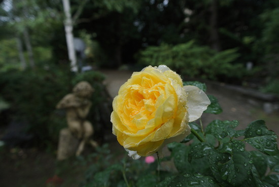 DSC_4218