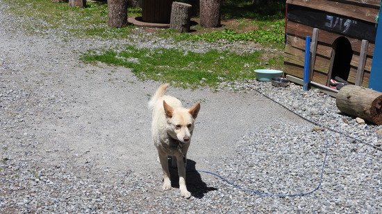 DSCN1679