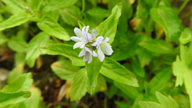DSCN1564
