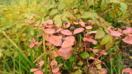 DSCN1344