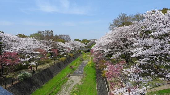 DSCN0328