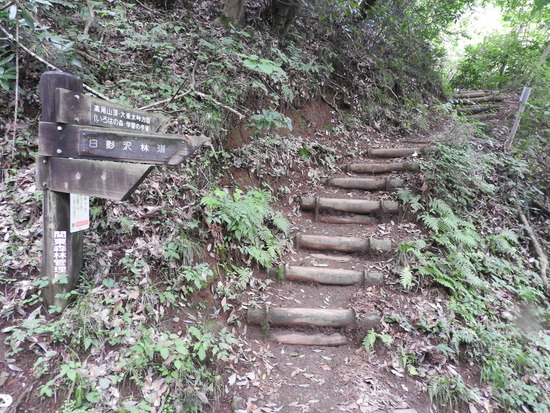 DSCN6582