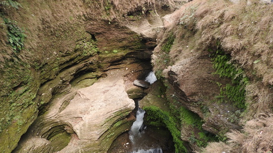 DSCN5161