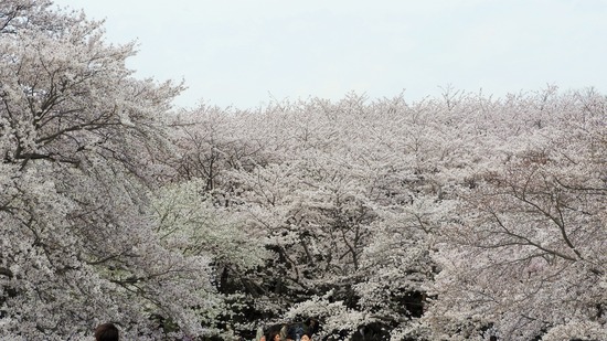DSCN0503 (2)