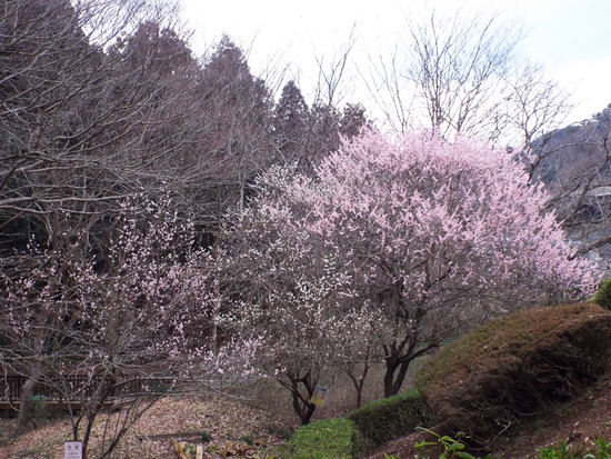 DSCF1748 (2)