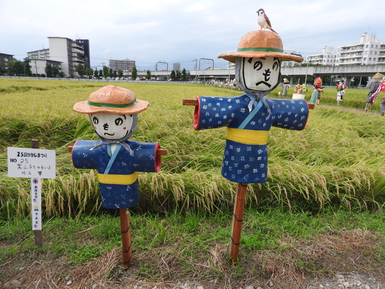 DSCN1125