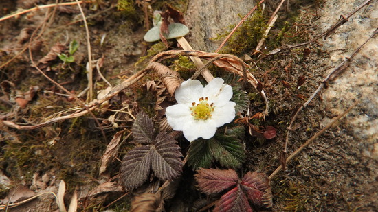 DSCN1198