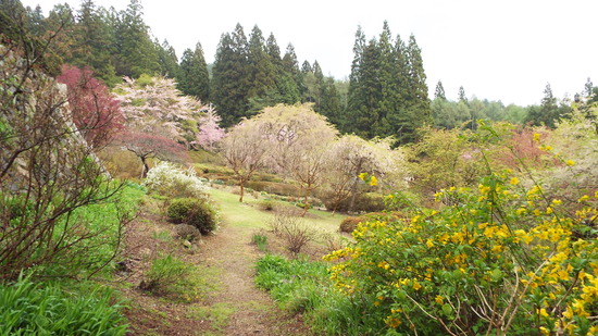 DSCF3139