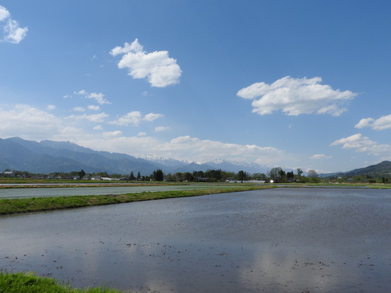 DSCN7935