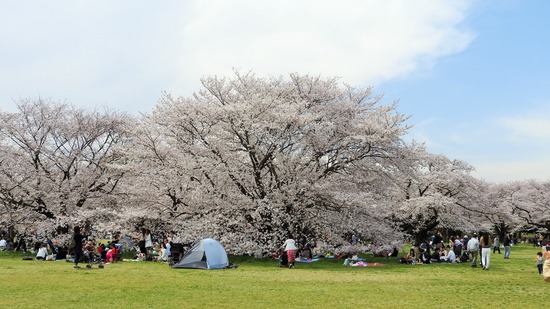 DSCN0511 (2)