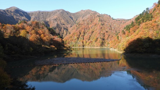 DSCN4538