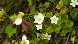 DSCN1439