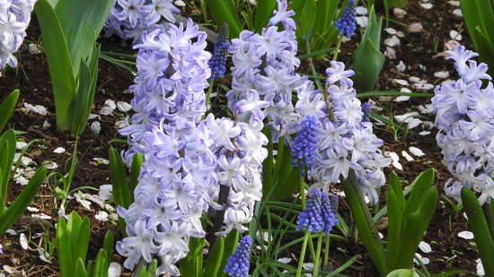 DSCN0675