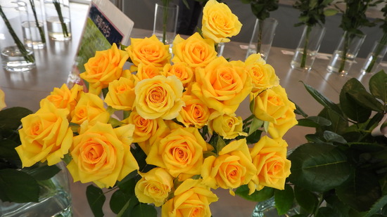 DSCN0330