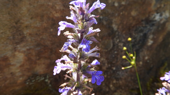 DSCN2757