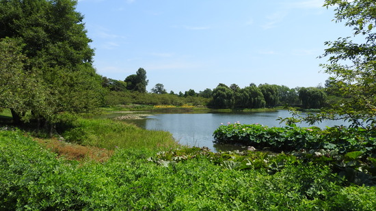 DSCN0507