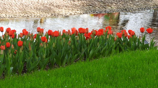 DSCN0740