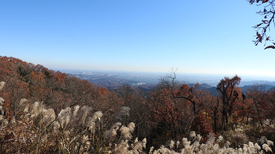 DSCN5058