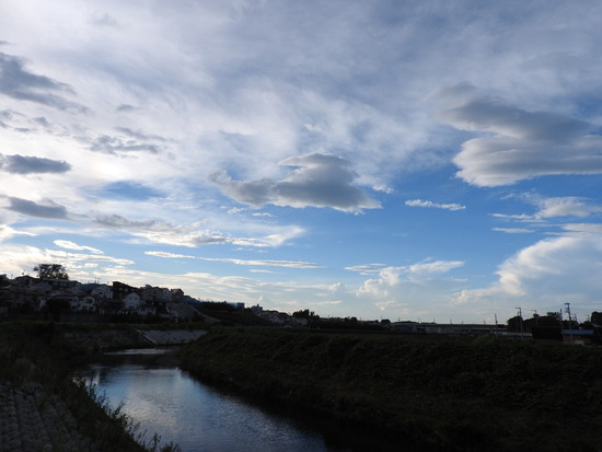 DSCN5156