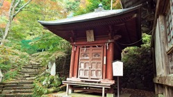 DSCF1560