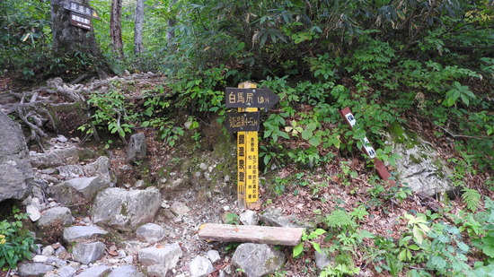 DSCN2619