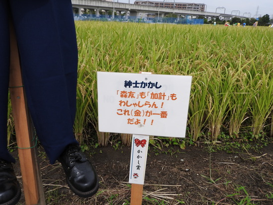 DSCN1150