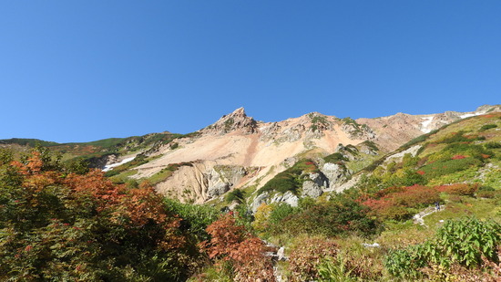 DSCN1800