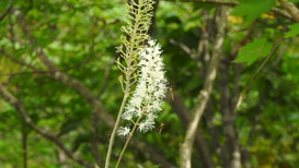 DSCN1314