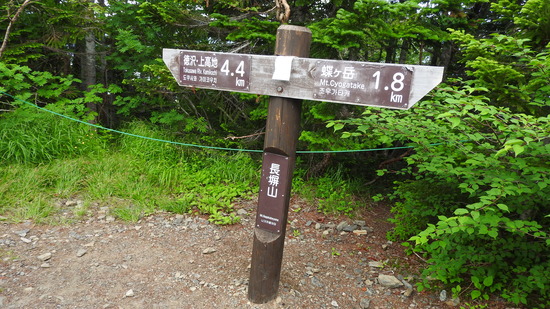DSCN9236