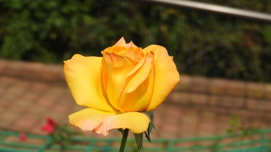 DSCN8805