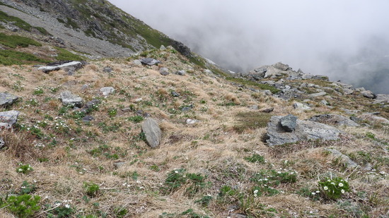 DSCN5365