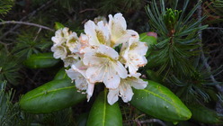 DSCN8906