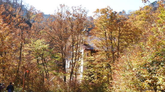 DSCN4217