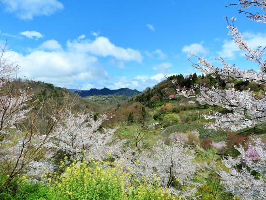 DSCN3001 (2)