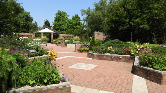DSCN0517