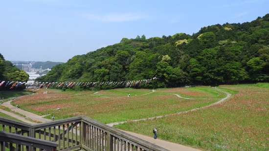 DSCN2031